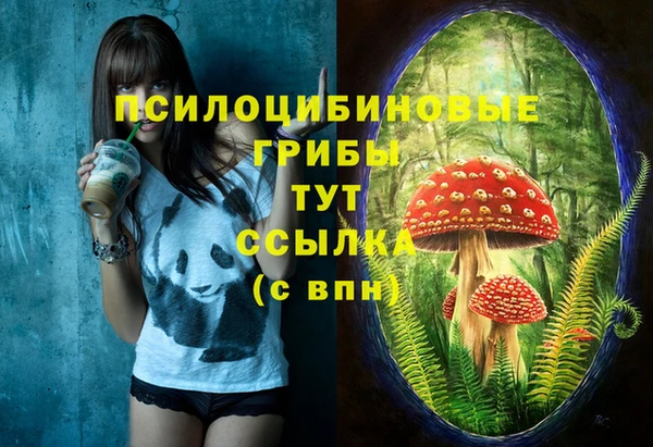 индика Наволоки