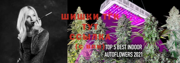 индика Наволоки