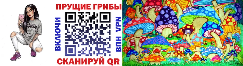 дарнет шоп  Новоузенск  Псилоцибиновые грибы прущие грибы 